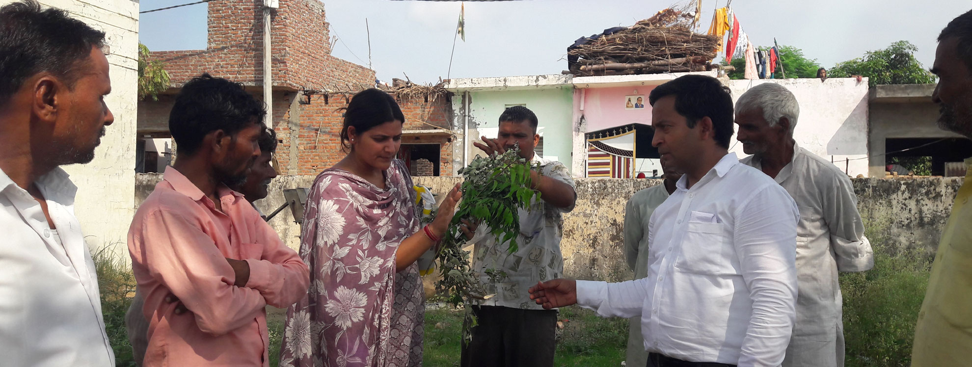 Empowering Nangla Pithora, UP farmers with traditional herbal methods to control ticks and protect their livestock.