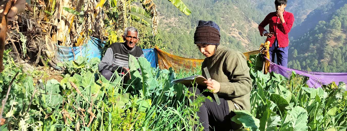 Successful on-farm trials of Sonali 45 Cauliflower in Bihar & Uttarakhand showcase its promise under organic farming! Innovated by Shri Rajmani Singh & Mukesh Kumar, this variety highlights eco-friendly & sustainable agriculture