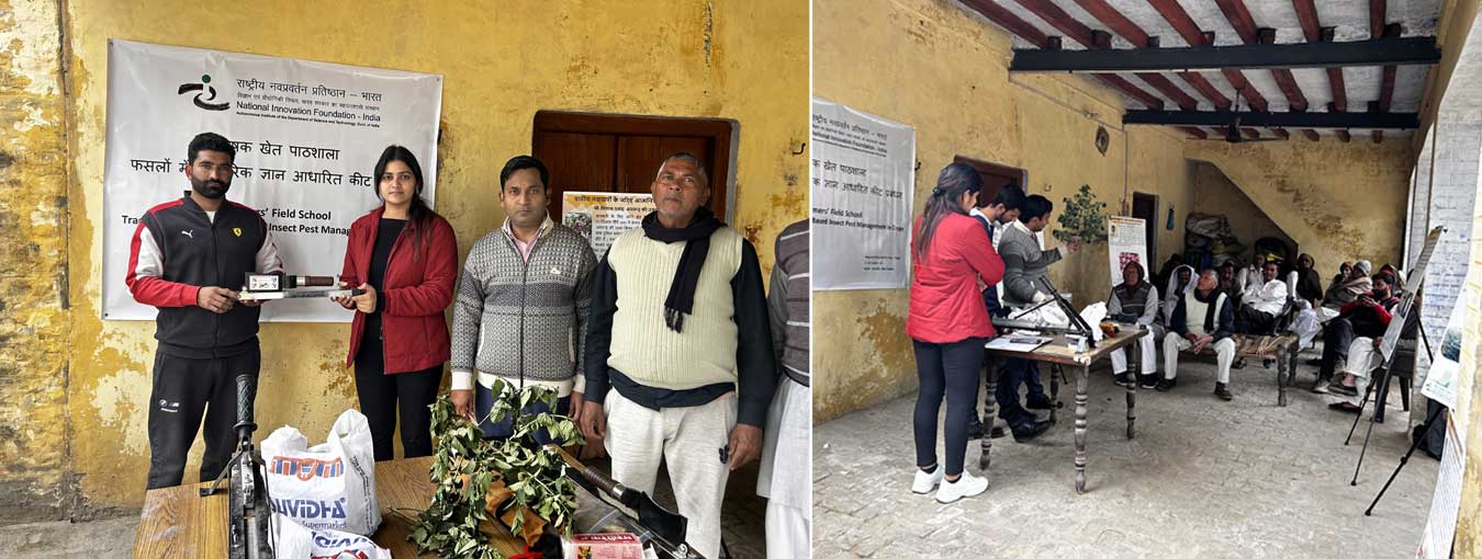 NIF held a Farmers’ Field School in Dalampur, Meerut, teaching 25+ farmers traditional pest management for sustainable farming. Tools like sugarcane peeling knives & bud chippers were also shared