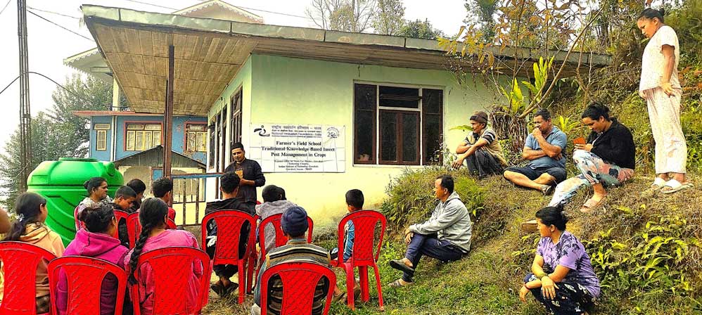 NIF Guwahati Cell empowers Sikkim farmers! 54 farmers attended Farmer's Field School sessions, sharing traditional knowledge on pest management. 143 practices, 2 innovations & 1 plant variety documented