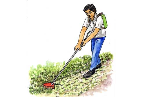 Low cost grass and leaf cutting machine - Photo