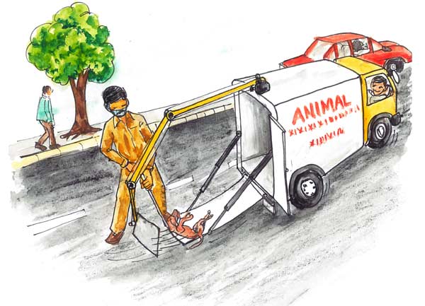 Image of Animal carcass picking machine 