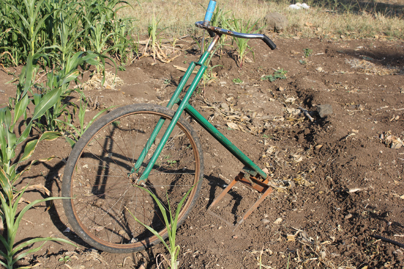 Image of Bicycle Weeder