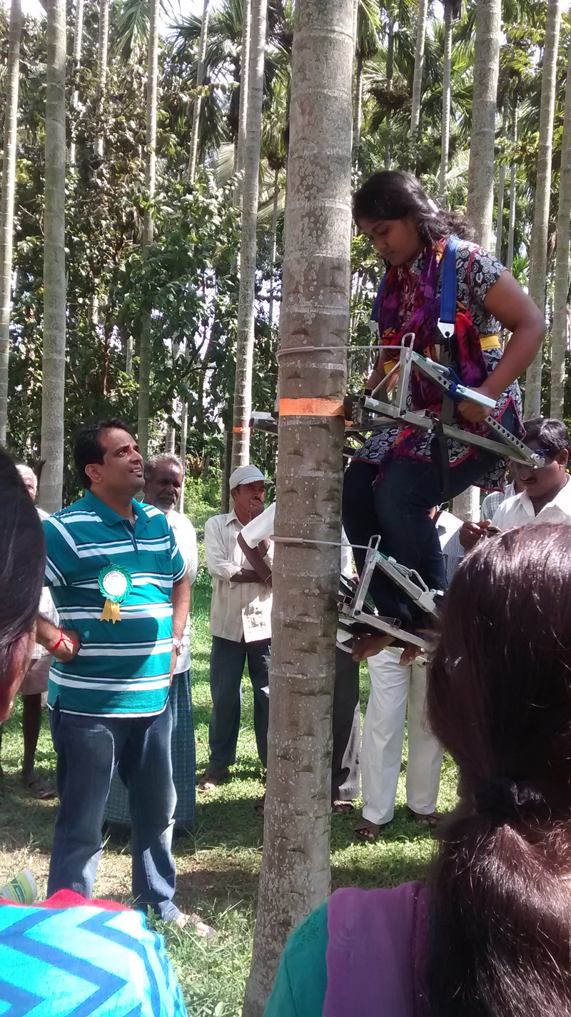 Image of Multi Tree Climber