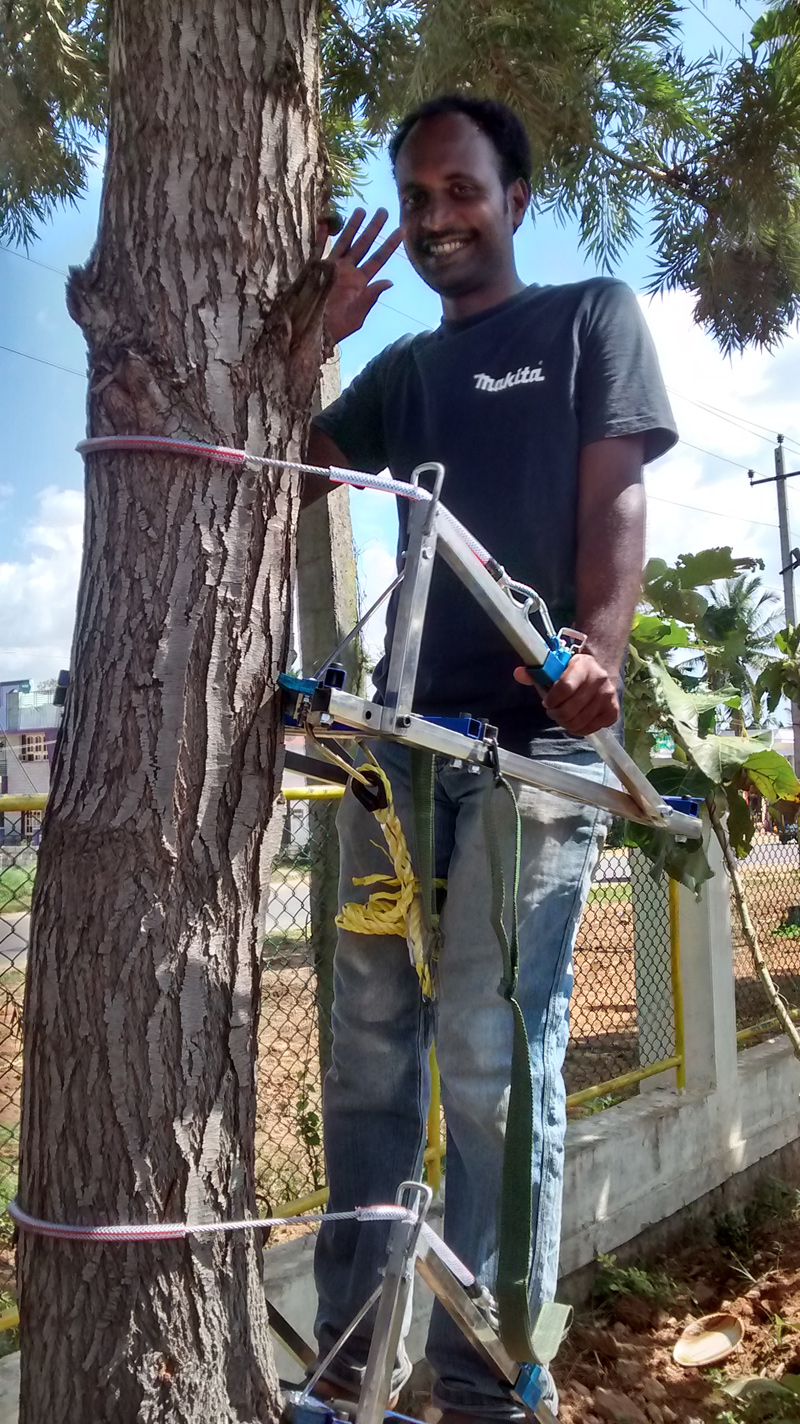 Image of Multi Tree Climber