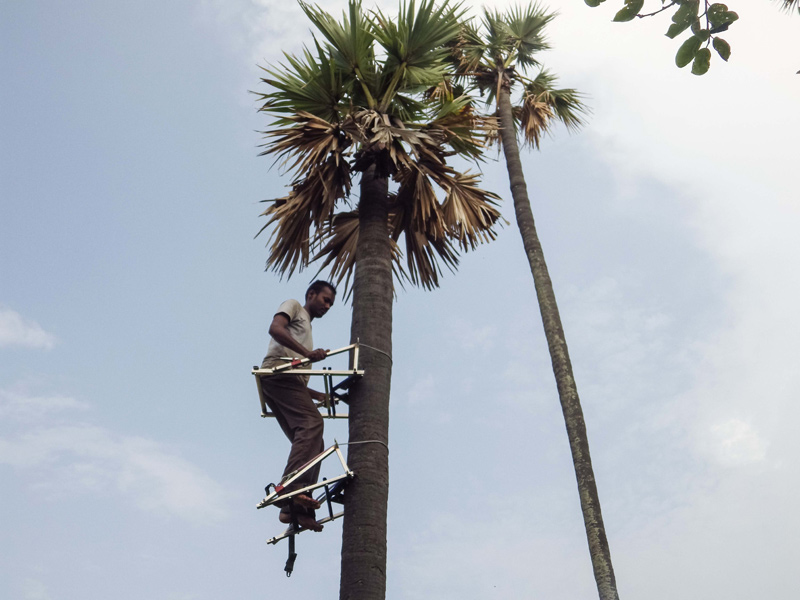 Image of Multi Tree Climber