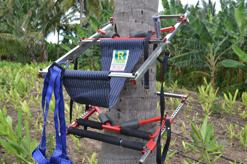 Image of Multi Tree Climber