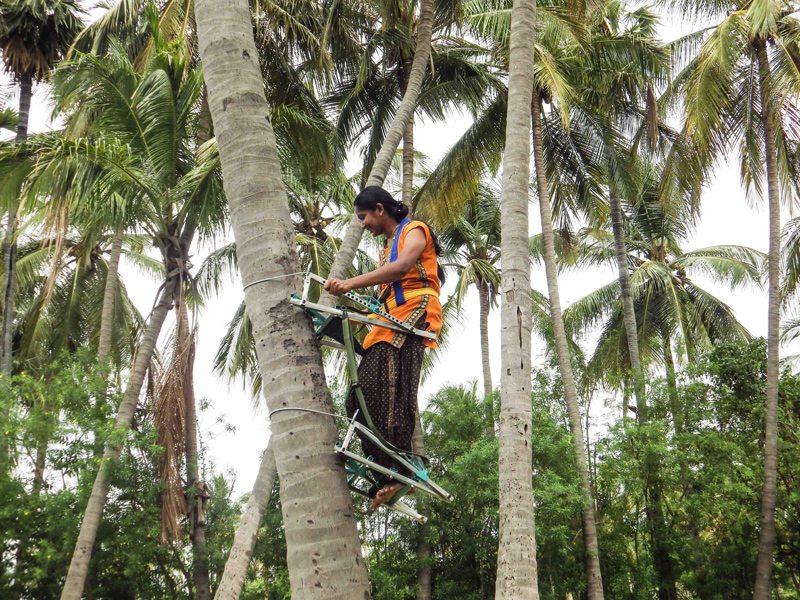 Image of Multi Tree Climber