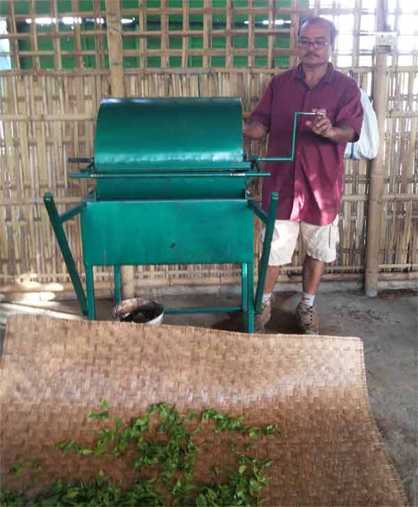 Image of Reciprocating Tea Dryer and others