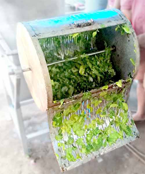 Image of Reciprocating Tea Dryer and others