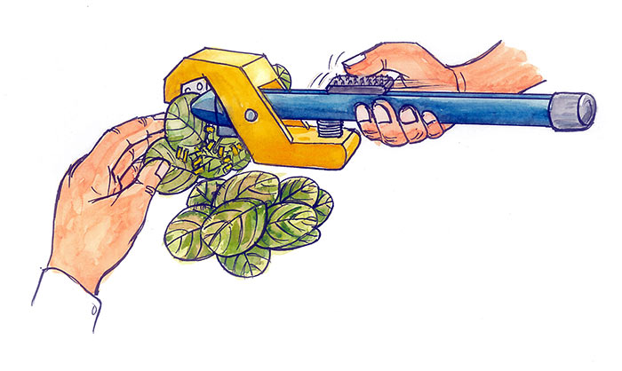 Image of Stapler for leaf plate making