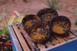 Fungal control in honey bee - Photo