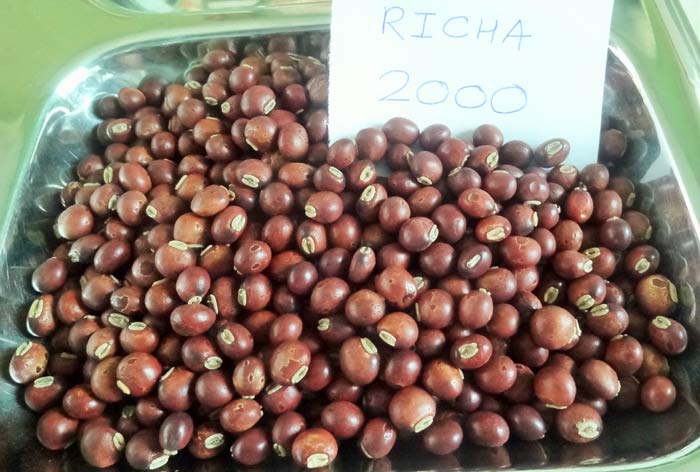 Richa 2000 - Photo