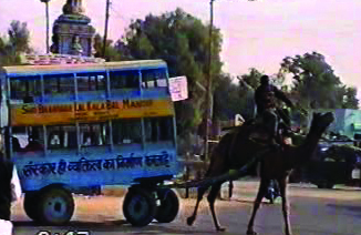 Camel Driven double decker Bus - Photo