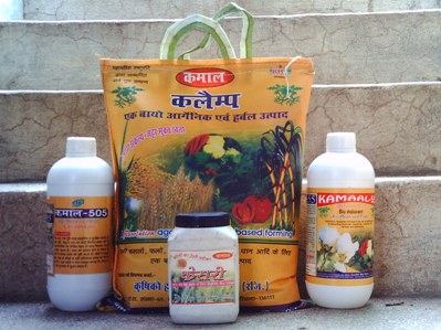 Herbal formulation Kamaal 505 - Photo