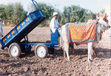 Multiple agricultural machineries - Photo