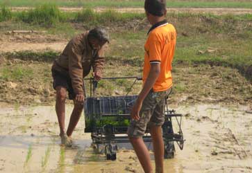 Manual paddy transplanter - Photo