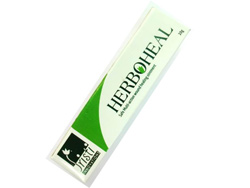 Wound Healing Ointment - Photo