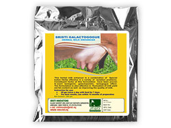 Milk Enhancer in Animals - Photo