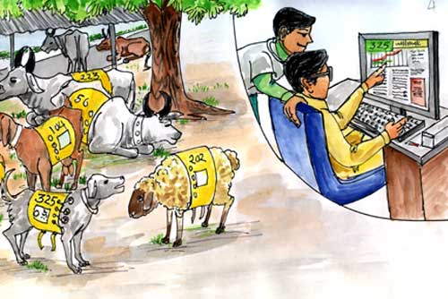 Stress monitoring mechanism in animals - Photo