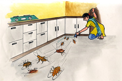 Home-made cockroach-icide gel - Photo