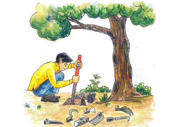 Multipurpose tool for agricultural use - Photo