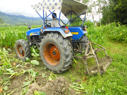 Image of Tractor Operated Taro Harvester with Washer