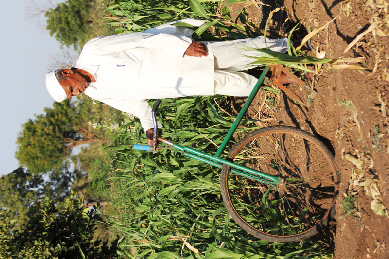 Image of Bicycle Weeder