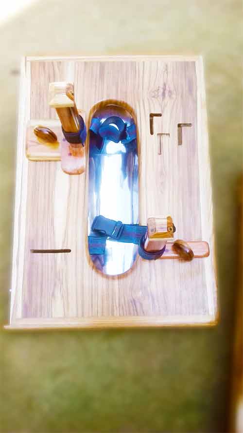 Image of Small Animal Restraining Cum Operation Table