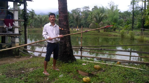 Image of Coconut Harvesting Tool and Eri Cocoon Opener