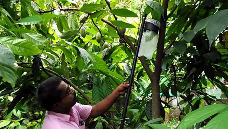 Image of Fruits and Vegetable Capper 