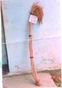 New varieties of wheat, rice and pigeon pea - Photo