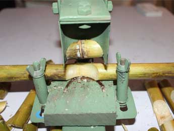 Sugarcane bud chipper - Photo