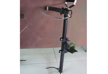 Tree Climber - Photo