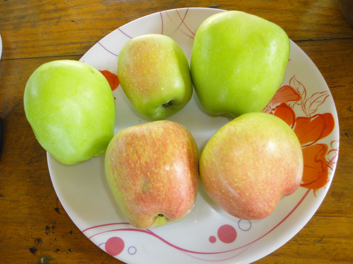 HRMN-99 -  New apple variety for tropical, sub-tropical and plain areas - Photo