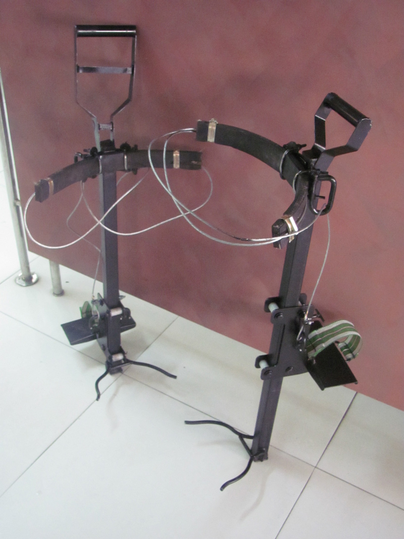 Image of Tree Climber