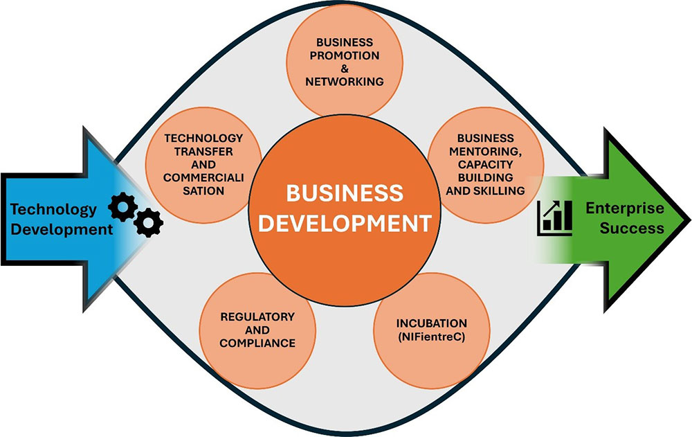 Business development role and activities