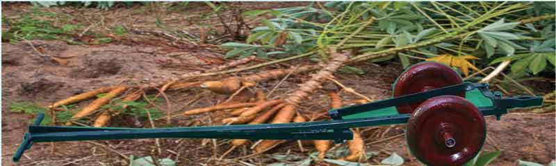 Image of Manual hand lever-based Tapioca plant uprooter /digger