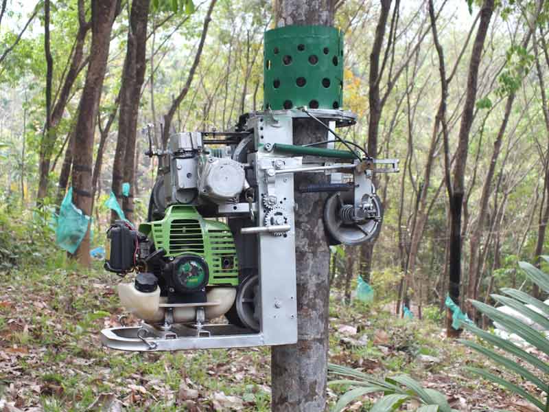 Automated Arecanut Climbing and Harvesting Machine - Photo