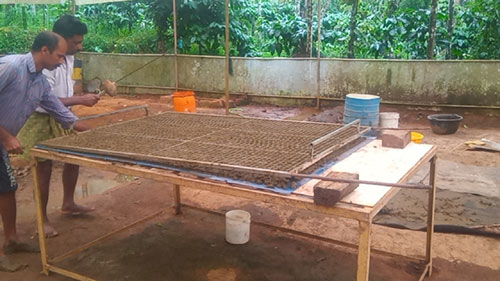 Image of Pelletisation for Paddy Cultivation 