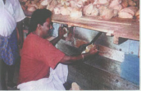 Coconut Dehusker - Photo