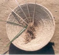 Herbal treatment for intestinal worms in livestock - Photo