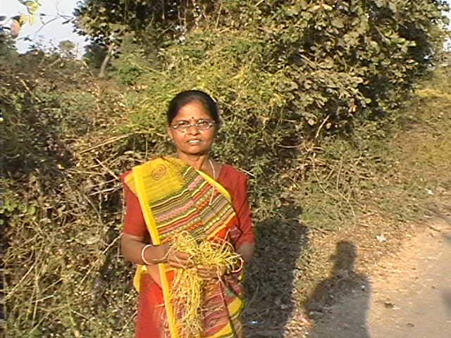 Image of Herbal Preparation for Poultry Immunity