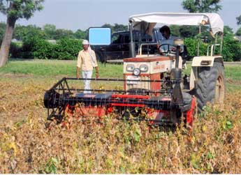 Image of Reaper Windrower with Reel