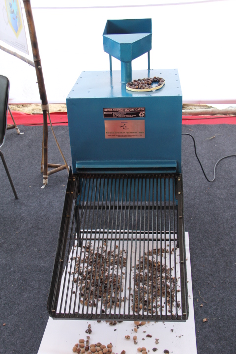 Nutmeg Desheller - Photo