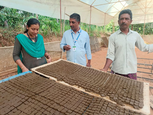 Image of Pelletisation for Paddy Cultivation 