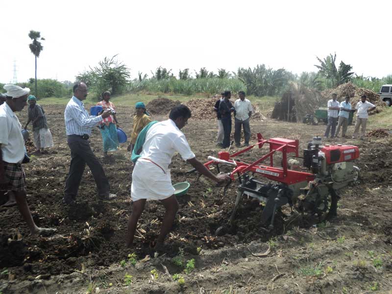 Image of Turmeric Harvester