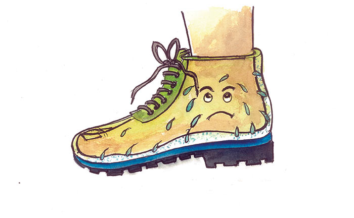 Image of Perspiration absorbing shoe